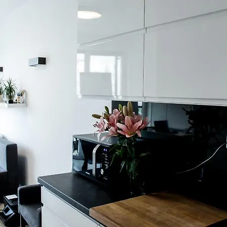 Modern Business Close To Center Check In 24h Apartament *